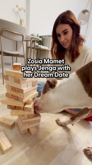 Zosia Mamet Instagram - @zosiamamet's date shows off his Jenga skills in this #DodoDreamDate bonus clip 💙

Catch Zosia in #Laid. Now streaming on @Peacock

Learn more about adopting Champ @adoptcuddlechamp 

And follow @nycacc for more rescues!