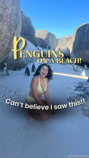 Aakansha Monga Instagram - WHAT?!? 🤯

Penguins on beach. BUT PLEASE DONT TOUCH THEM! (If that’s not obvious already. You can see them and admire them from afar!!)

Yes, you read that right. Penguins, the adorable creatures we usually associate with icy landscapes, chilling on a warm sandy beach.😎 This magical experience awaits you at Boulders Beach in Cape Town, South Africa.

But how do penguins end up on a beach? These are African penguins, a unique species native to the southern coast of Africa. They waddle around, splash in the waves, and just hang out like it is the most normal thing ever. It is such a fun and unique experience to see them in their natural habitat.🥰

So, if you’ve always wanted to see penguins but cannot head to the North Pole, Cape Town is the perfect place. Who knew penguins could be this cool on a beach?😉😉

[TravelAmore, Travel, travel destinations, Cape Town, penguins, South Africa, travel inspo, travel reels]
