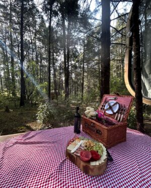 Abril di Yorio Instagram - empezando el 2025 con el ❤️feliz

En @cabins.wander 
gracias @aramdytalent