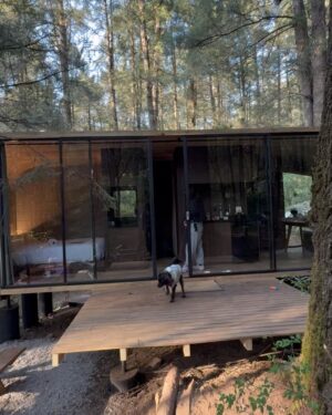 Abril di Yorio Instagram - empezando el 2025 con el ❤️feliz

En @cabins.wander 
gracias @aramdytalent