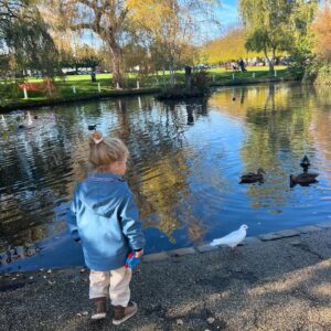 Aimee Kelly Instagram - • Sunday roast with the pack 🐺 
• is Sunday even Sunday if you don’t start off at the farmers market?
• The glitz & glamour of pumping: filming on location edition 
• hot dad chic @bibby__alex 
• this was hands down the best day I’ve ever spent with my oldest son since the baby was born 🥹 uninterrupted one on one time was needed in his dream setting @jaegoshouse thank you for spoiling us. I didn’t get around to using the free childcare because I was having so much fun with him we didn’t want to go home🥰 core memories made that day💫
• birthday king @chrisjparkinson thank you @abbavoyage 
• @bugaboouk @elodiedetails upgraded our autumn walk setup and everyone’s toasty chic 🍂 
• one whole year since IRINA stepped off stage @sohotheatre missing the team🫶🏼
• if there’s one thing I will teach these boys aside from the importance of being in nature every day it’s that a tambourine is the perfect Sunday accessory x