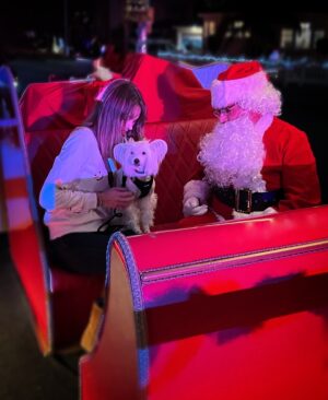 Aimee Teegarden Instagram - December Looking Like…🎄⛄️🦕🎢🎅🏽