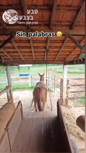 Ainhoa Arteta Instagram - 