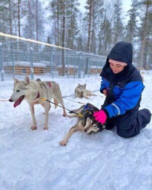 Aisha Zafar Khan Instagram - Husky safari ❄️🐕‍🦺🛷