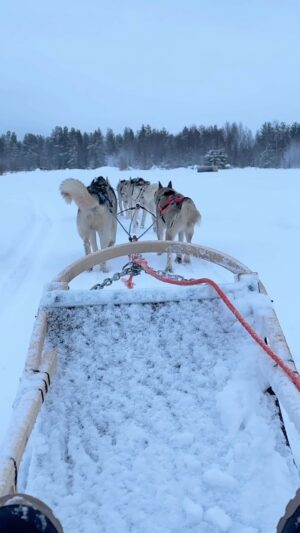 Aisha Zafar Khan Instagram - Riding on husky sled through a frozen lake ❄️🥹