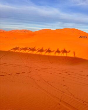 Ali Landry Monteverde Instagram - This entire time in Africa has been surreal but  riding camels out into the desert at sunset to camp under the stars overnight in the Sahara with friends from every corner of the globe will go down in the record books as top experiences of a lifetime! @sahara_serenity_tours #makingmovies 🐪 🏜️ 🔥 ✨ 🎥