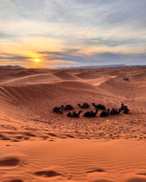 Ali Landry Monteverde Instagram - This entire time in Africa has been surreal but  riding camels out into the desert at sunset to camp under the stars overnight in the Sahara with friends from every corner of the globe will go down in the record books as top experiences of a lifetime! @sahara_serenity_tours #makingmovies 🐪 🏜️ 🔥 ✨ 🎥