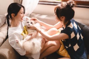 Ally Chiu Instagram - 我喜歡妳 是我一直沒說出口的秘密
兩顆心相遇 無需被定義 只需彼此懂得

「她教會了我愛，卻沒能陪我走到最後。」
愛情有時不是永恆的承諾，而是一段珍貴的經歷。

#不一定要在一起 #MvComingSoon