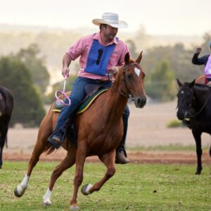 Amber Marshall Instagram - Polocross… my new favourite horse sport. 

We had SO MUCH fun learning all about Polocross today. They first put Shawn and I on the same team since they didn’t want to cause a stir with us playing against each other, but let me tell you… it was a blast playing defensive against him. Our competitive nature came out, but in the best way!! I haven’t seen Shawn smile that big in a while! He picked up on the game so fast!

Shawn got to ride my little Herbie for the game, since that horse is a star in the position he was playing. I switched to the most wonderful mare Lily, whose speed and determination was perfect in the defensive spot. 

Anyone know a good polocross teacher near Calgary? I think we are hooked. 😉

#AMarshallDownUnder
#GlobeTrottingWithTheStars
@globetrotting.com.au