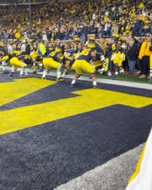 Amy Smart Instagram - Wow first time at the Big House!! Lucky to go on the field and feel that incredible energy of the stadium and the fans! #annarbor #michigan #collegefootball @carterooster