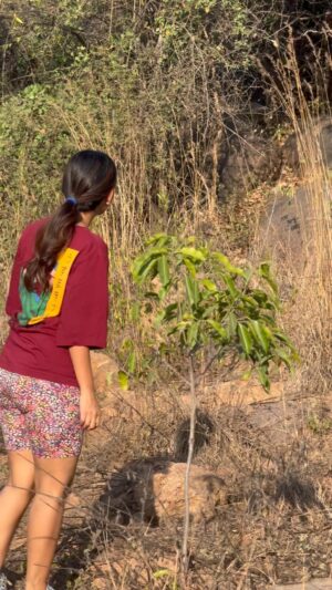 Ananya Nagalla Instagram - Morning walk ❌ peacock watching✅

#ananyanagalla