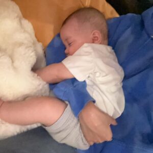 Ananya Panday Instagram - Missing my little koala baby nephew River 😭♥️