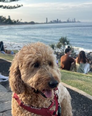 Annastacia Palaszczuk Instagram - Winton living his best life