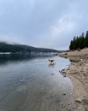 Aspen Ladd Instagram - My weekend views 🙂