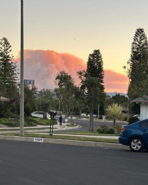 Barbara Niven Instagram - Now it’s getting scarier. Took two of these from my house and then I got in my car and drove a few blocks away, and you can see what it looks like down that street. Pretty terrifying. I am packing as I am typing this. Good luck everyone and please keep sending your prayers. If it’s in God‘s plan so be it but I hope it doesn’t get my house. It’s strange how I’m walking through from room to room and picking up random items that mean the most. Mostly photos and mementos. Puts things in perspective, doesn’t it. Let’s see what happens, but I am trusting. The main thing is to save lives. Everything else is just stuff. Thank you to the brave men and women who are fighting this fire and all who are responding with 1000% effort!! And thank you for your support and your prayers for all of us here. God bless you 🙏❤️ 

#wildfires #losangeles