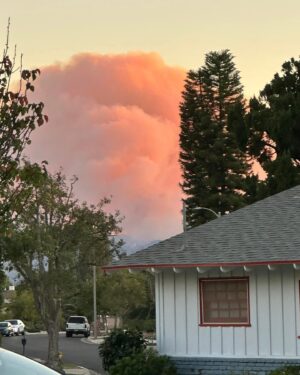 Barbara Niven Instagram - Now it’s getting scarier. Took two of these from my house and then I got in my car and drove a few blocks away, and you can see what it looks like down that street. Pretty terrifying. I am packing as I am typing this. Good luck everyone and please keep sending your prayers. If it’s in God‘s plan so be it but I hope it doesn’t get my house. It’s strange how I’m walking through from room to room and picking up random items that mean the most. Mostly photos and mementos. Puts things in perspective, doesn’t it. Let’s see what happens, but I am trusting. The main thing is to save lives. Everything else is just stuff. Thank you to the brave men and women who are fighting this fire and all who are responding with 1000% effort!! And thank you for your support and your prayers for all of us here. God bless you 🙏❤️ 

#wildfires #losangeles