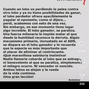 Betiana Blum Instagram - 