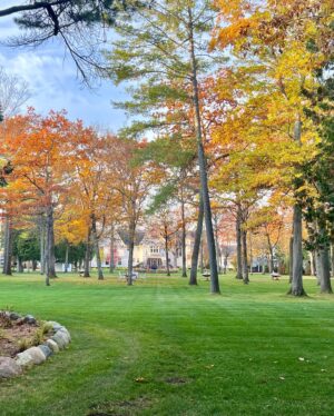 Betsy Brandt Instagram - If some very special groundhog sees his shadow can I get three more months of Fall at Stonecliffe on Mackinac Island? Don’t miss it next year. 🍁