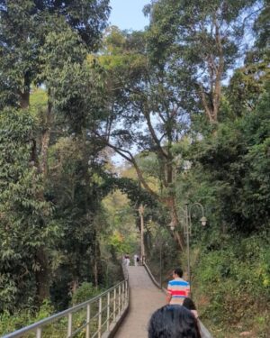 Bhagyashree Limaye Instagram - Only a part of all this 🌌
.
#kerala #wayanad #guruvayur #kochi #india #forest #naturelovers #nature #traditions #heavenonearth #south #nature #krishna #love #teampixel