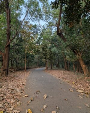 Bhagyashree Limaye Instagram - Only a part of all this 🌌
.
#kerala #wayanad #guruvayur #kochi #india #forest #naturelovers #nature #traditions #heavenonearth #south #nature #krishna #love #teampixel