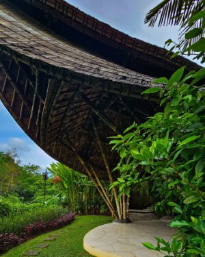 Bhavini Purohit Instagram - "Yoga, nature & serenity – the perfect start to our day in Bali! 🌿🧘‍♀️✨
Practicing yoga amidst lush greenery at The Westin Bali felt like meditating in the heart of a jungle. A truly peaceful escape, guided by our amazing instructor. 🌿💙
.{influencer, travel,explore,couple,coupleposes, cute,love,bali,Indonesia}
.
 #CouplesYoga #WestinBali #WellnessRetreat" #influencer #love #couple #couplevideos #explore #trend #trending @westin