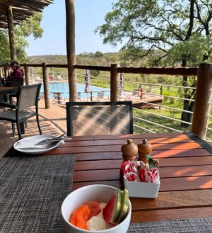 Camille Hyde Instagram - Adventure of a lifetime 🐘🦒🦓

📍 Kruger National Park @mdlulilodge