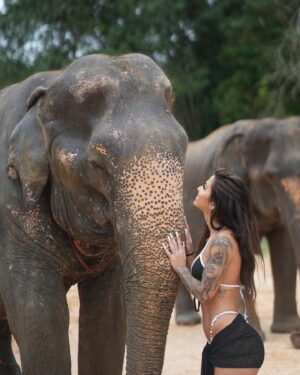 Carly Santos Instagram - A foto mais fofa que vão ver hoje 🥹🐘