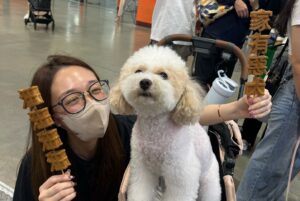 Chanel Wang Instagram - Some 2024⛳️🐶💪🏻🎠🪄🤶🏻