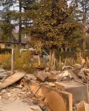 Christina Moses Instagram - this was my house. 
our neighborhood. our families. our friends. our beautiful community. the wildlife…those precious animals and crawly things… so many…this is devastating loss. 
 
we will heal and build/create new. moment by moment. breath by breath. one step at a time. 🙏💔♥️
 
#eatonfires 
#eaton 
#altadena 
#altadenafire 
#california 
#californiawildfires 
#wildfires