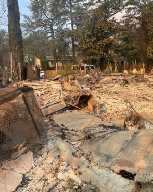Christina Moses Instagram - this was my house. 
our neighborhood. our families. our friends. our beautiful community. the wildlife…those precious animals and crawly things… so many…this is devastating loss. 
 
we will heal and build/create new. moment by moment. breath by breath. one step at a time. 🙏💔♥️
 
#eatonfires 
#eaton 
#altadena 
#altadenafire 
#california 
#californiawildfires 
#wildfires