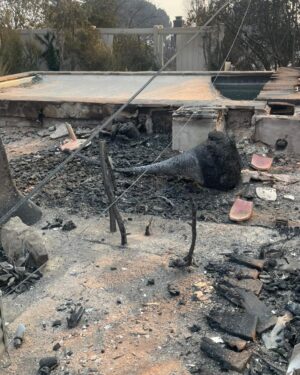 Christina Moses Instagram - this was my house. 
our neighborhood. our families. our friends. our beautiful community. the wildlife…those precious animals and crawly things… so many…this is devastating loss. 
 
we will heal and build/create new. moment by moment. breath by breath. one step at a time. 🙏💔♥️
 
#eatonfires 
#eaton 
#altadena 
#altadenafire 
#california 
#californiawildfires 
#wildfires