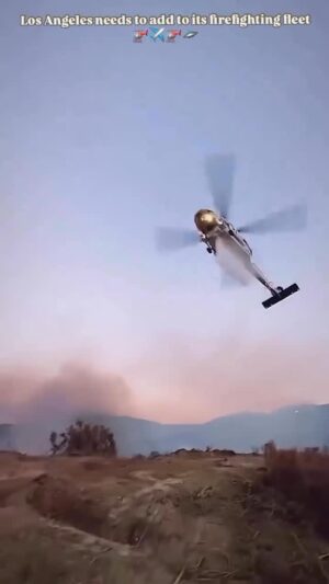 Christine Elise Instagram - I am pinning this older post because I need easy access to it.  It reminds me of what it means to be human and that there are heroes.  There ARE heroes.  We need heroes so badly right now - IN AMERICAN GOVERNMENT.  Until they show up, I will calm myself with this.

Heroism. 

Repost from @catpowerofficial
•
🙏🙏🙏