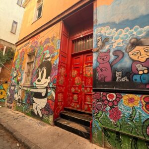 Cristina Saavedra Instagram - Gracias, Chile, por prestarme también  tu océano para respirar. Gracias por ser refugio  estas navidades. Por darme tu fuerza. Por enseñarme los detalles de tu historia. Por cuidarme. Por deslumbrarme. Por emocionarme. 🫶🏾 Navidad ‘24