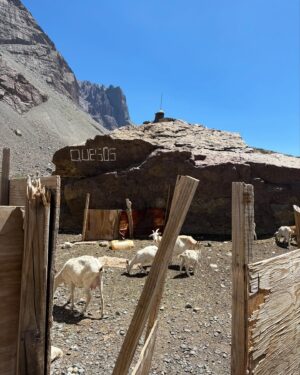 Cristina Saavedra Instagram - Gracias, Chile, por ser refugio en Navidad. Tus Andes con su viento, el sol, el silencio, el sonido, el frío, montañas y volcanes, el calor, cumbres,  fronteras diluidas, el abrazo, la calma, el agotamiento, el amor…🫶🏾