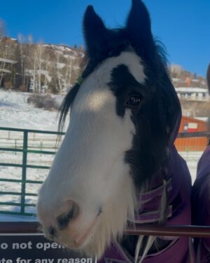 Cydney Moreau Instagram - Aspen @thenobleranch