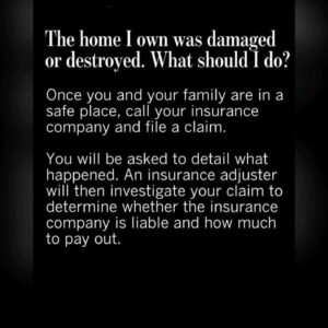 Darcy Donavan Instagram - I am utterly heartbroken beyond words.💔💔💔 Seeing all the homes and businesses of my friends that have burned to the ground and all the families and animals in devastation is something no one should ever have to experience in their lifetime!😭😢 I was within 5 minutes in the line of fire, like literally, and was one of the lucky ones. The amazing firefighters contained the fire, so it didn't spread to my neighborhood!🙏🙏

The fires have left so many people displaced, homeless, and scared. Seeing the incredible generosity of people stepping up in this moment is a reminder of the good in humanity.🌟🌈

🙏I want to take a moment to genuinely thank each and every one of you who sent me your heartfelt messages—texts, emails, DM'S, and voicemails. Your support, whether it was offering a place to stay or simply checking in on my safety, I just can't thank you enough!🙏🙏😘❤️💯🙏🙏 

I am also holding onto gratitude that my family and my beloved fur-babies are safe. My heart and prayers go out to every family affected by these fires. To all the people who have lost their homes, their memories, and their beloved pets—my heart aches for you. The devastation is unimaginable, and knowing so many are waking up today without the place they called home is truly heartbreaking!!💔💔

To the brave firefighters and first responders risking their lives to protect us—you are true heroes! ❤️💯🙏I am so grateful for your courage, dedication, and the incredible sacrifices you’re making to save lives and fight this unimaginable battle. Thank you from the bottom of my heart!!❤️👏🙏

Please, everyone, stay safe and follow evacuation orders. 🙏Sending so much love and strength to all of you. We’re in this together, LA! 

My StarDawgs.Com Team will be reaching out to various Charities and Organizations to see how we can best support the communities impacted by these fires with our project. Whether it’s through donations, fostering animals, or just extending compassion to those in need, let’s find ways to help. We’re in this together, and together we’ll rebuild.

Sending prayers and blessings to everyone affected. 💔🙏

MY DEEPEST LOVE AND PRAYERS TO YOU ALL,

⭐️DARCY⭐️

#StayStrongLA