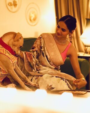 Dissha Pardeshi Instagram - शुभ दिवाळी 🪔