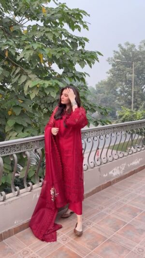 Dur-e-Fishan Saleem Instagram - Festive in @aneelas_collection 
Shop online .Xx🤍

Pr /coordination @stylebywardakayani 

Also big shoutout to @717.salon girls for always coming over to give me the best hair 😘🤍