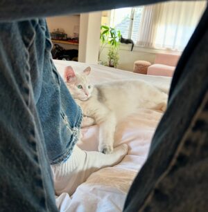 Dylan Meyer Instagram - Also a big year for Cozy!