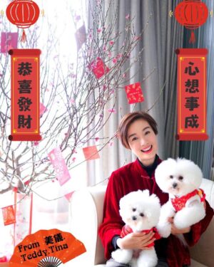 Elena Kong Mei-Yee Instagram - ㊗️大家同家人新年快樂，健康，平安，蛇年大吉，萬事顺心！

恭喜！恭喜！

#江美儀 #江美人