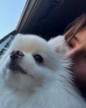 Eleonora Gaggero Instagram - Da tre anni hai reso la mia vita migliore. Dormire tutte le notti con te al mio fianco e svegliarmi la mattina con i tuoi baci è un onore incredibile. Sei una cagnolina speciale 
Buon compleanno piccola Tasca🤍