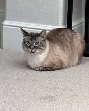 Elise Laurenne Instagram - well tiktok’s gone NOW WHAT