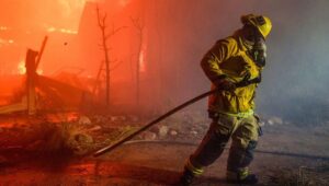 Emily Swallow Instagram - Along with many of you, I have been watching in shock as LA seems to be surrounded by flames that won’t back down. I am in Florida helping my mom move out of our family home and feeling helpless to save our Topanga home but I know I’m not the only one fighting for it thanks to all the efforts by firefighters, volunteers and friends. @chadkimball76 and @normajeanandarthurmiller have evacuated and are safe, and that’s the important thing. I’ve stayed glued to the news and various WhatsApp groups to know what’s happening, and here’s what has etched itself in my heart:

We are deeply indebted to firefighters, law enforcement, and everyone on the frontlines. They are putting their lives on the line to save ours.

We are a community that shows up for one another. I can’t tell you how many frightened posts I’ve seen about animals and people trapped, followed by a string of messages offering to go in and rescue and house them. #bootsontheground

Times like these are terrifying, and so many people are losing everything right now. But I am so encouraged by the clarity coming forward about what is really important and the unquestionable generosity and goodwill being shown to neighbors near and far. Thank you to everyone who won’t back down. 

#thisistheway #thisisthewaywednesday #palisadesfire #eatonfire #topangastrong #sunsetfire #sylmarfire #lafd #californiafires #prayforcalifornia