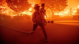 Emily Swallow Instagram - Along with many of you, I have been watching in shock as LA seems to be surrounded by flames that won’t back down. I am in Florida helping my mom move out of our family home and feeling helpless to save our Topanga home but I know I’m not the only one fighting for it thanks to all the efforts by firefighters, volunteers and friends. @chadkimball76 and @normajeanandarthurmiller have evacuated and are safe, and that’s the important thing. I’ve stayed glued to the news and various WhatsApp groups to know what’s happening, and here’s what has etched itself in my heart:

We are deeply indebted to firefighters, law enforcement, and everyone on the frontlines. They are putting their lives on the line to save ours.

We are a community that shows up for one another. I can’t tell you how many frightened posts I’ve seen about animals and people trapped, followed by a string of messages offering to go in and rescue and house them. #bootsontheground

Times like these are terrifying, and so many people are losing everything right now. But I am so encouraged by the clarity coming forward about what is really important and the unquestionable generosity and goodwill being shown to neighbors near and far. Thank you to everyone who won’t back down. 

#thisistheway #thisisthewaywednesday #palisadesfire #eatonfire #topangastrong #sunsetfire #sylmarfire #lafd #californiafires #prayforcalifornia