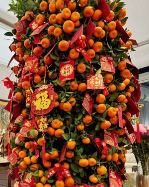 Fan Bingbing Instagram - Happy Chinese New Year, everyone! ❤️❤️❤️ Wishing you wealth, happiness, and smooth sailing ahead!