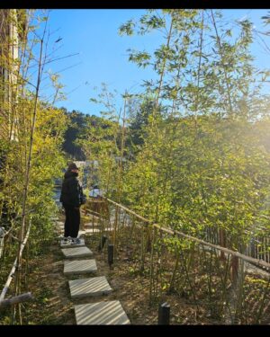 Ha Jae-sook Instagram - 이모저모고모숙모🤗🫥#고성댁

1.하이🤗🌲
2.이모도 좋았고 맛은 더 좋았다  #이모카세
3.맛난거 수도 없이 먹었지만 이스방이 만들어준 생일상이 최고🫰
4.속초아이 27호차
5.노천사우나로 땀빼기(카시아는 여름보다 겨울👍)
6.꿈동산 공사중!!
7.브이
8.바리스타동기들과 속초맛집"어썸"
9.명파환상곡 서울진출(나빼고 사진찍기있기없기)
10.짬뽕을 대하는 진지한 자세
11.겨울엔 복골온천
12.내친구들선물(손꾸락 쥐났던건 비밀)
13.고딩친구지민이랑 은주랑 용평
14.사랑하는 고딩친구가족들 고성나들이(치열했던 먹방은 속초맛집"돈우마을)
15.여보 웃어📸
16.화난거아님
17.발꼬락엄지척 못하는 남자랑 새끼발꾸락 미더덕같이 생긴 여자
18.수영 넘 조아
19.재숙.수향.은미 합동생일케익