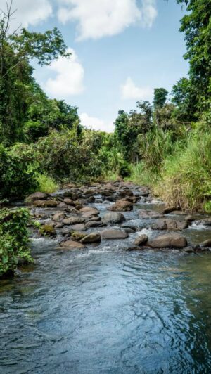 Haley Grable Instagram - @tierralindatreehouse is the perfect spot to stay if you want to connect with nature in Puerto Rico! You can hear the Coquis, water rushing from the rapids behind the home and the frequent sound of rain that makes this spot so relaxing.