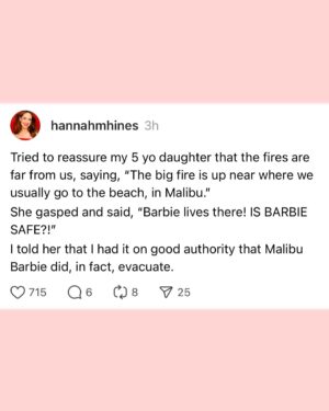 Hannah Marie Hines Instagram - JANUARY. I don’t even have a clever caption. LA burned. We evacuated but still have a place to live. Got to see my bestie in Charlotte, a silver lining. My kid made some absolutely perfect art. I snuggled my cats. January made us feel every one of her 31 days. The end.