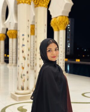 Hansika Krishna Instagram - 🌙🕌

@szgmc_ae @visitabudhabi 
How are you doing?