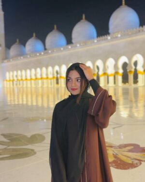 Hansika Krishna Instagram - 🌙🕌

@szgmc_ae @visitabudhabi 
How are you doing?